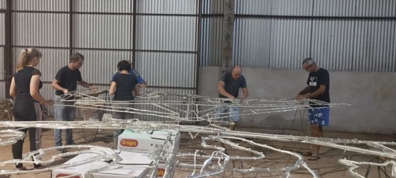 Voluntariado em ação