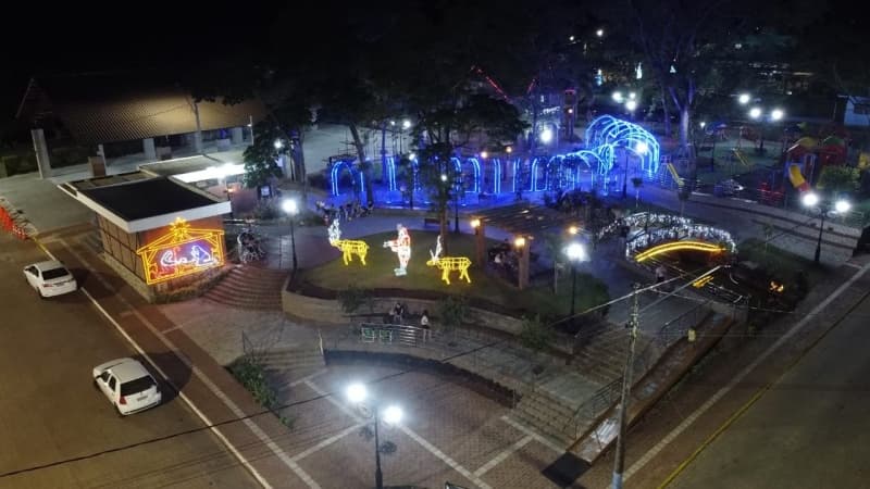 Voluntariado em ação