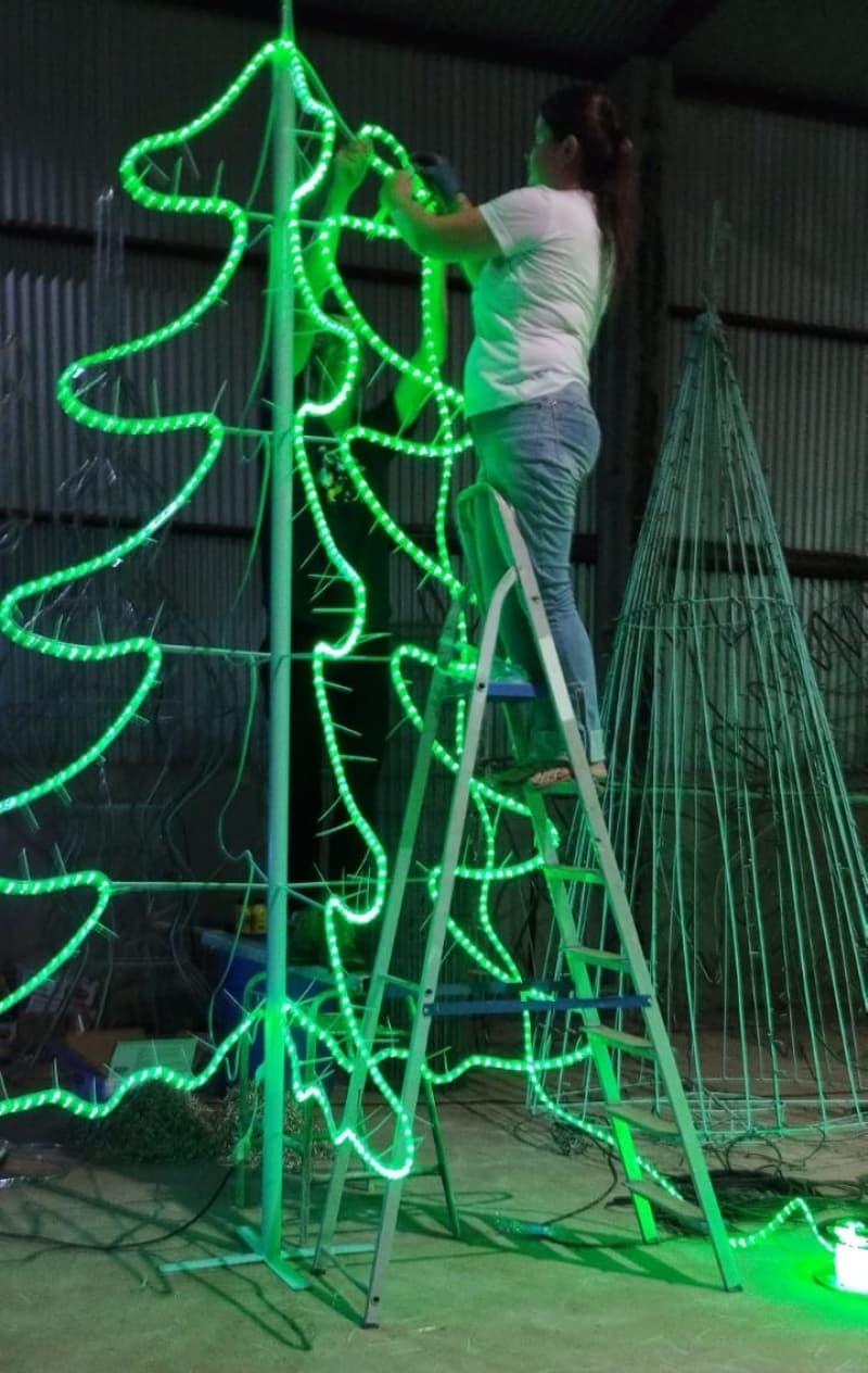 Voluntariado em ação